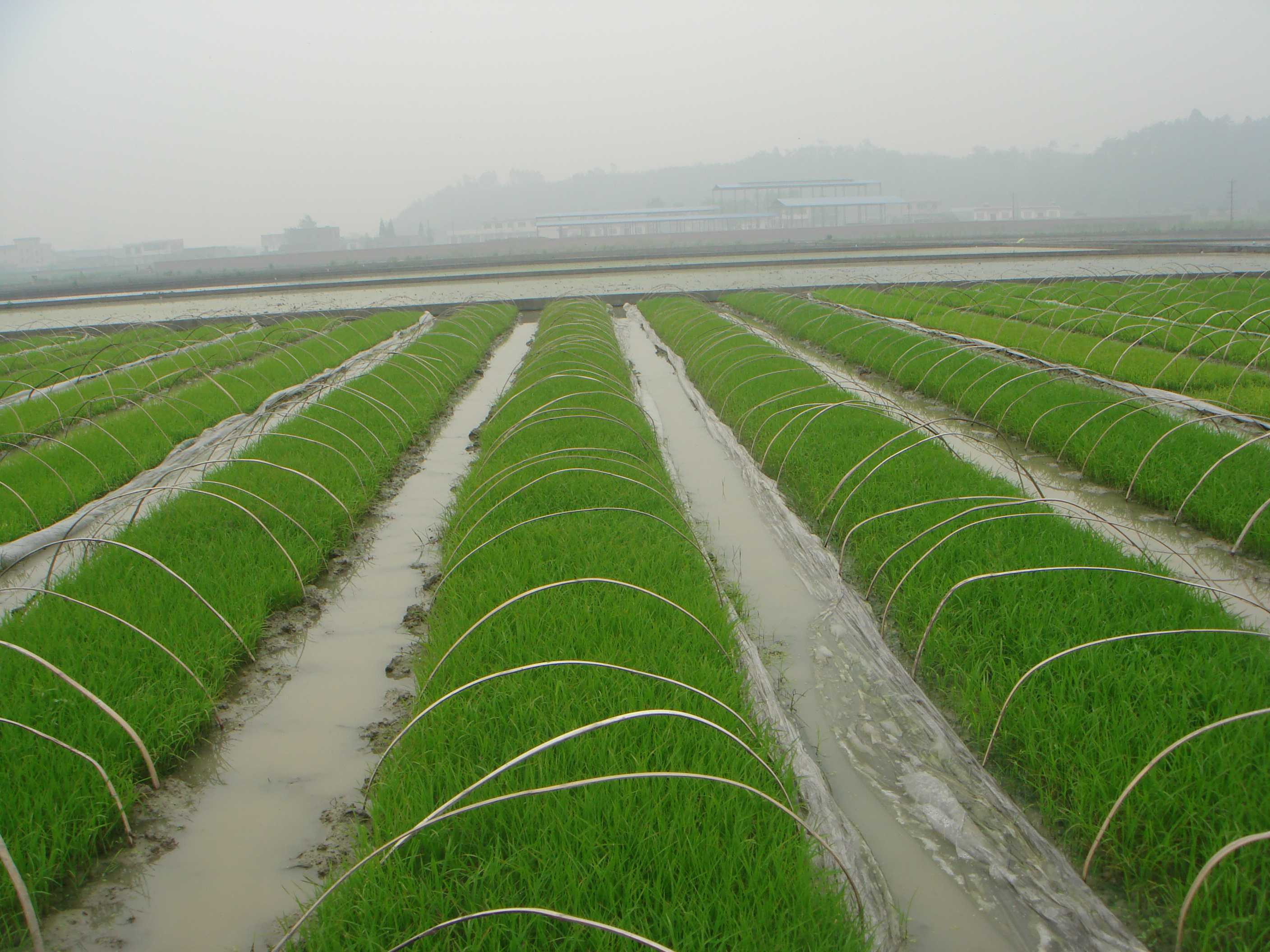 ����ˮ����ʾ������