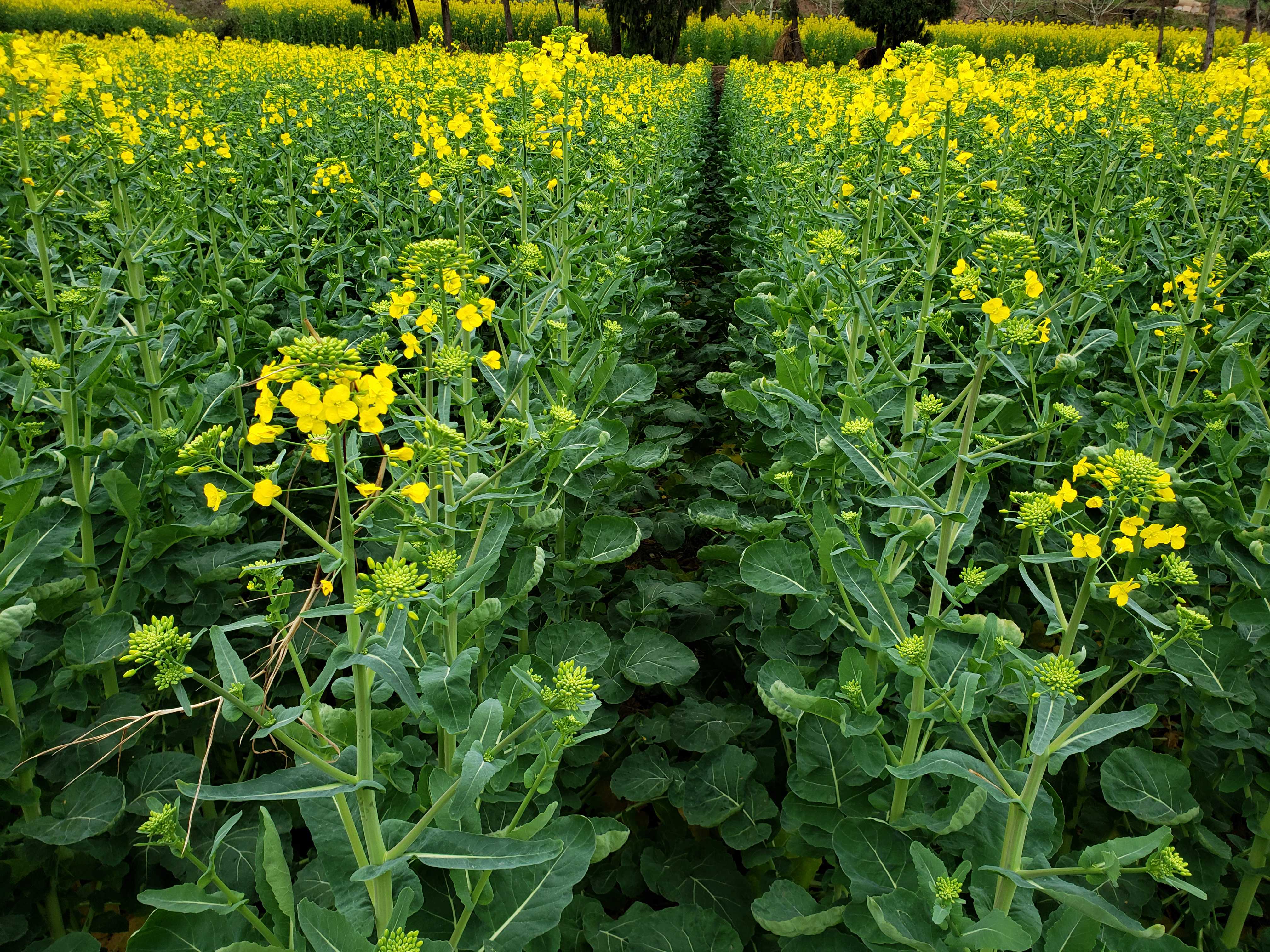 �Ͳ˿��л���